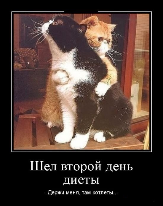 Подборка картинок