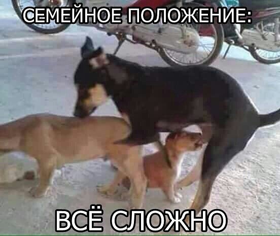 Картинки с этих ваших интернетов.