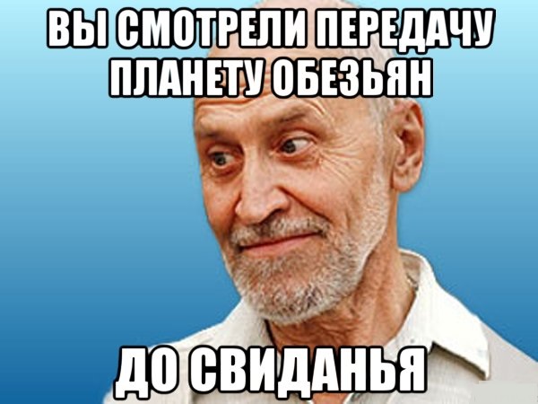 Битва самок за место в прайде