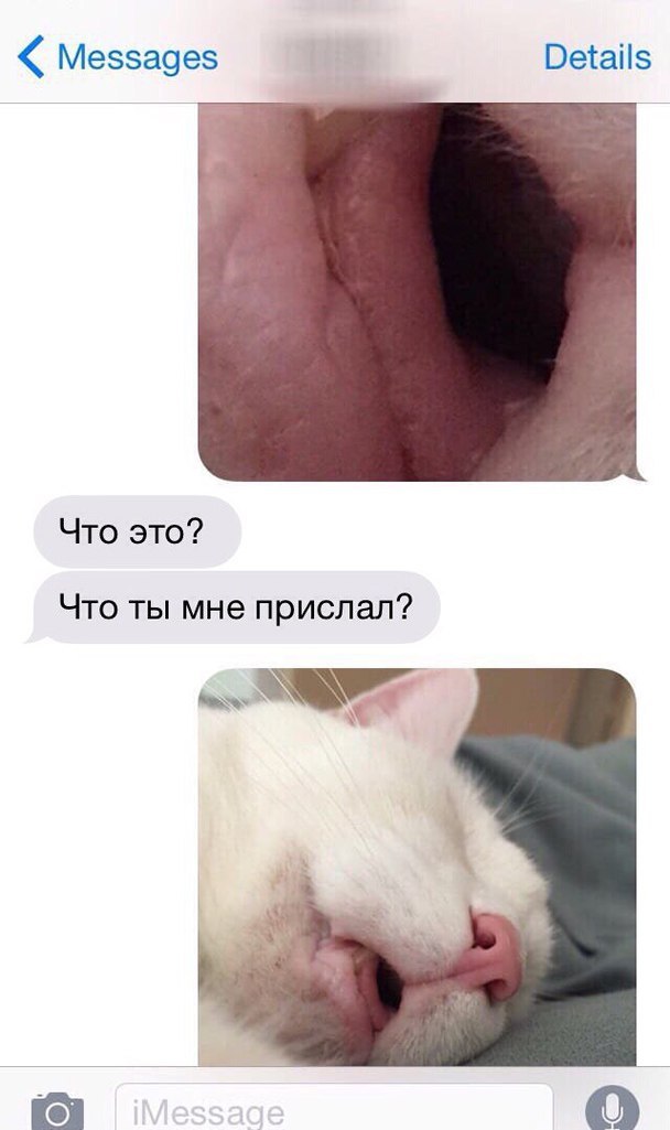 Мизатропируй правильно!