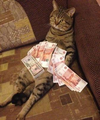 Я еще не нашел, что они сломали