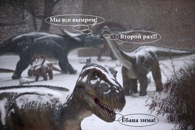 Подборка интересных и веселых картинок