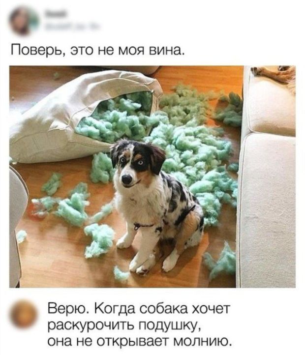 Нестандартный юмор