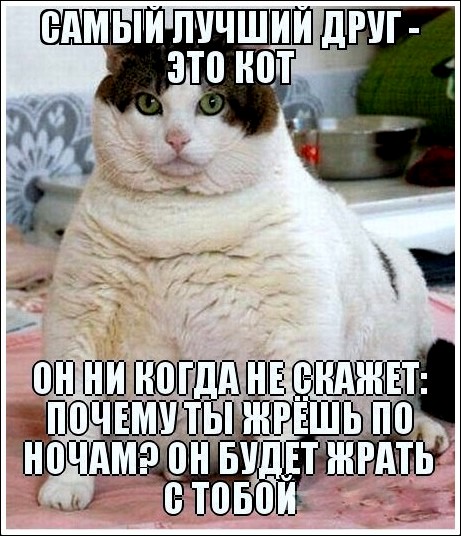Немного интересных и добрых картинок