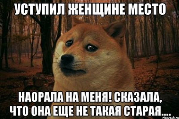 Прикольные картинки