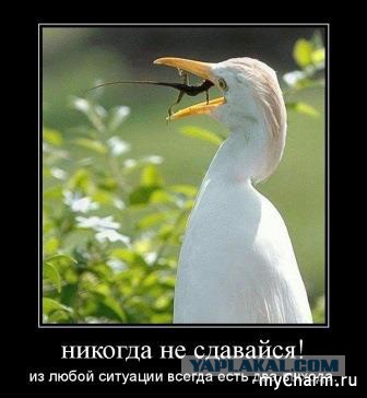 Дневник партизана Дзяковича, сколько же может человек вынести?!