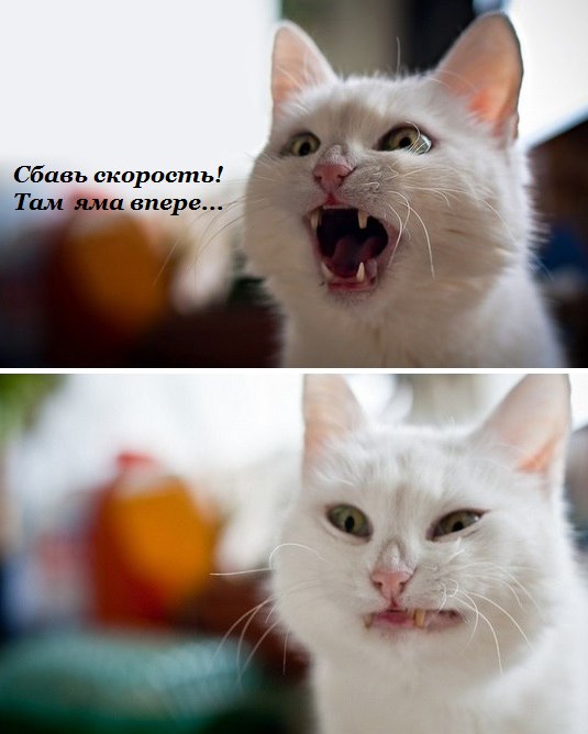 Хруст