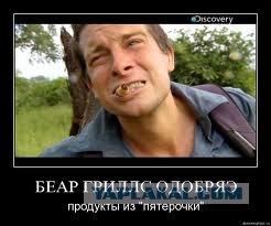 Домашний любимец