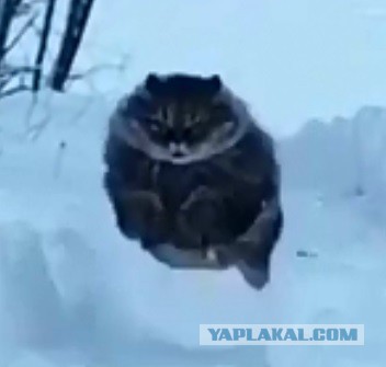Человек! Я пришел тебе помочь!
