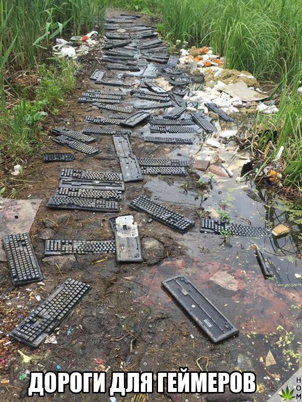 Прикольные картинки абавсём