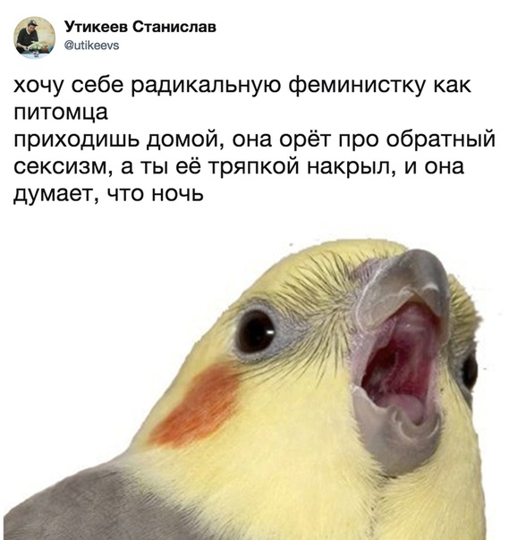 Улыбка мужика