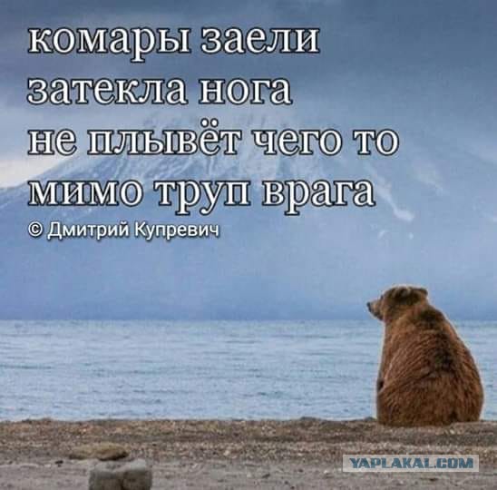 Анекдоты, соц-сети и картинки с надписями