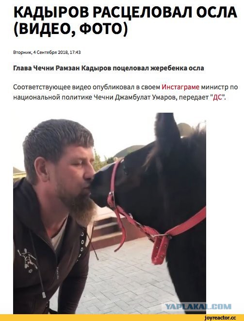 Что в Ингушетии происходит?