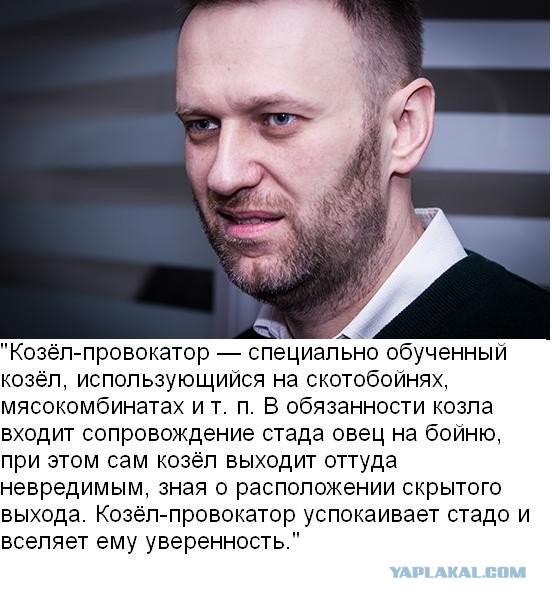 Россия в августе 2019 года одной картинкой