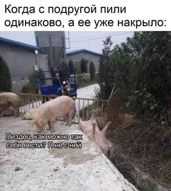 Пара-пара-пам! Фьють