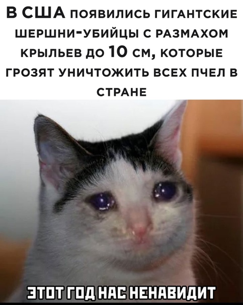 Немного картинок для настроения 06.05.20