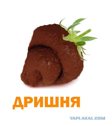Фотожаба: Лето, фрукты, генетика!