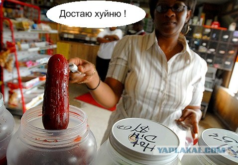Я несу хуйню