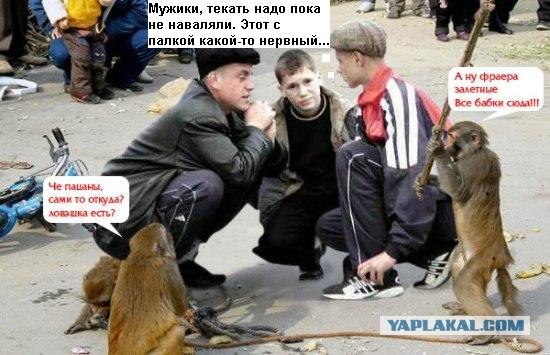Неуловимый мститель