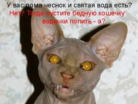 Одна шуба на двоих
