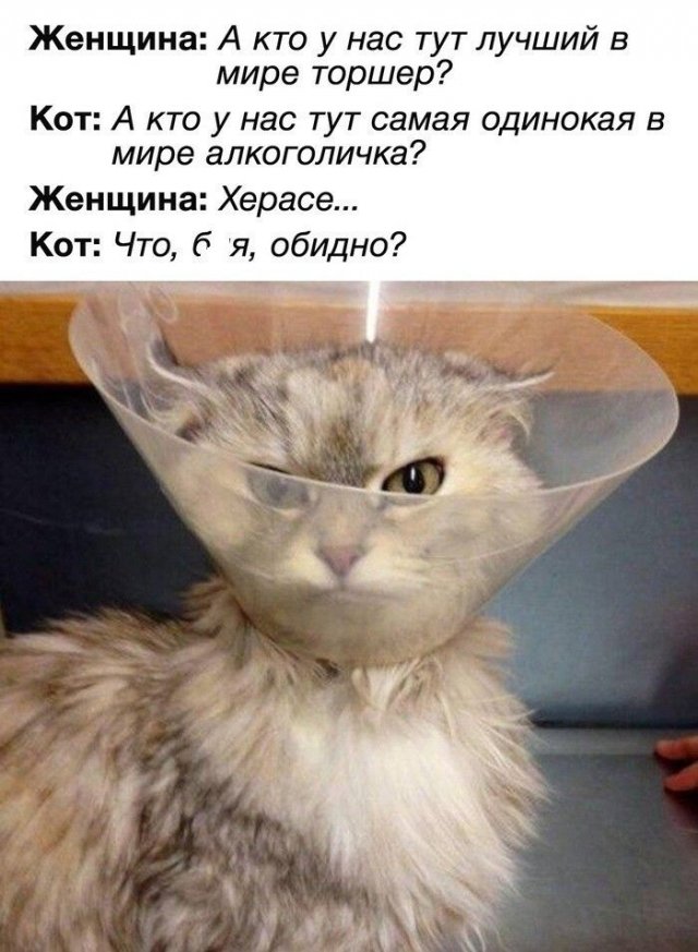 Алкопост 30.10.20