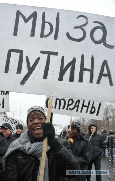 Отряды Путина не признают выборы в США