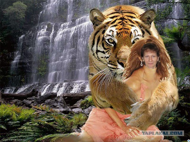 Боги фотошопа