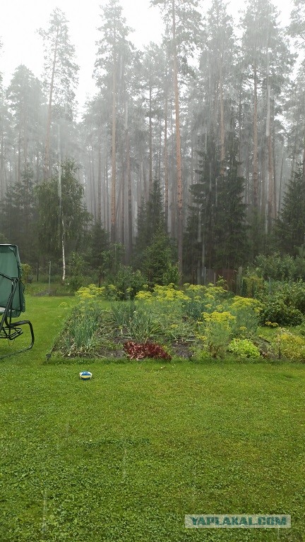 Зрелые женщины за 40