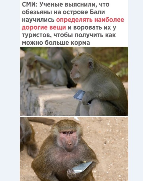 Картинки и мемы для настроения 024