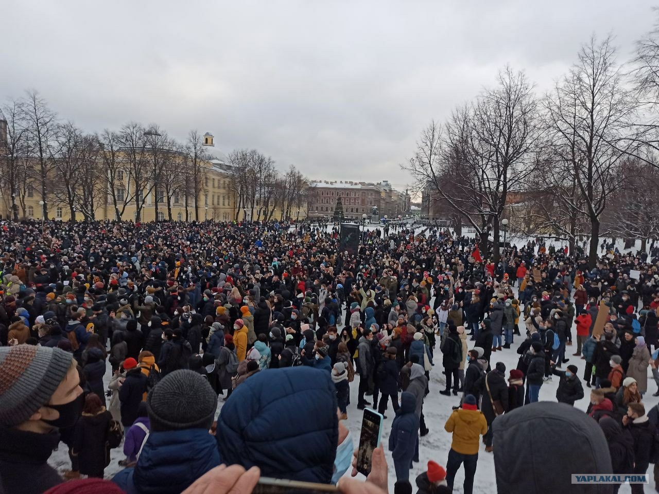 Хлопки в петербурге сегодня