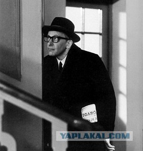 Когда болит голова
