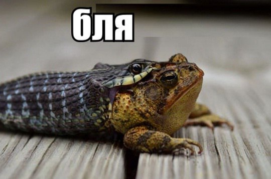 Картинки для настроения 08.02.21