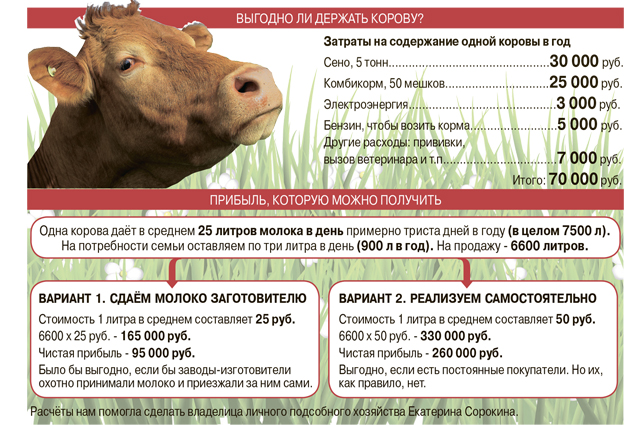 Сыр своими руками. Себестоимость. Процесс