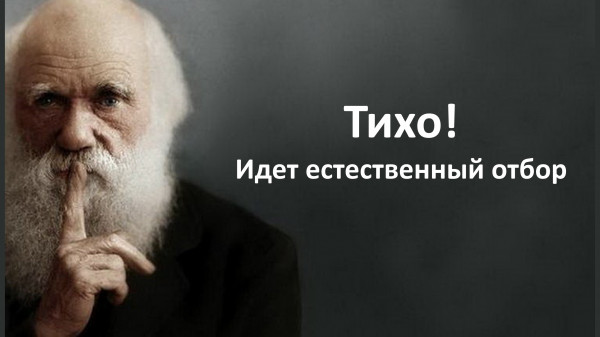 Мужские самоубийства в России объяснили женским поведением
