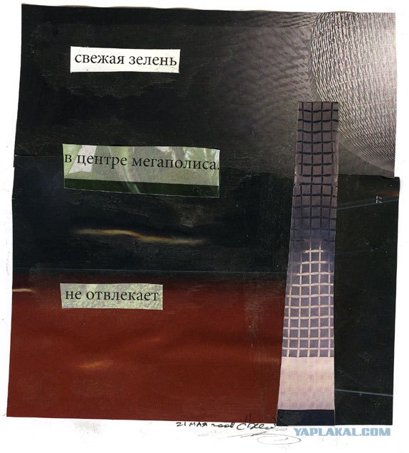 Новые хокку в картинках