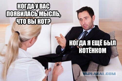 Аморальная деградация