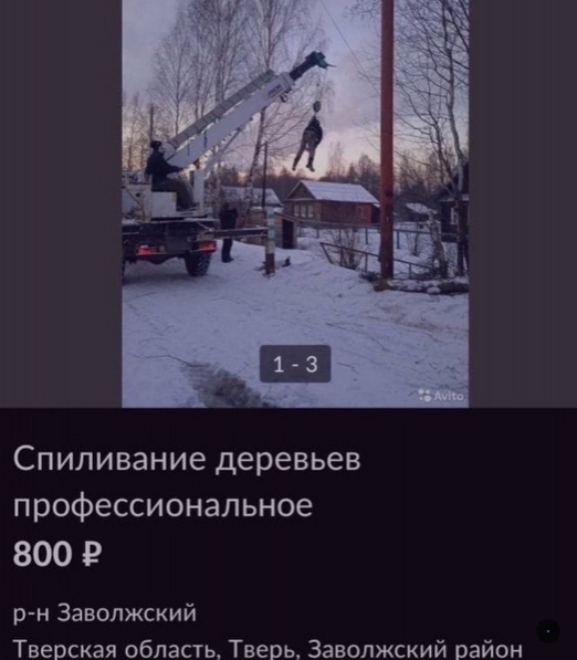 Весёлый полтишок 8.08