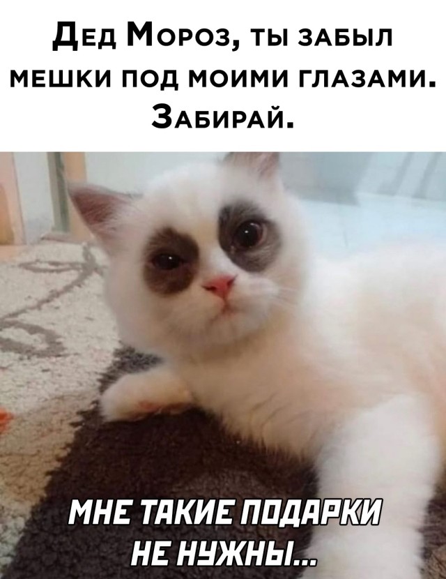 Смешные комментарии из социальных сетей 31.12.21