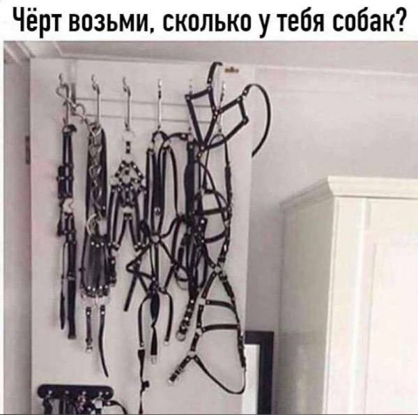 Так себе картинки 22.01.22