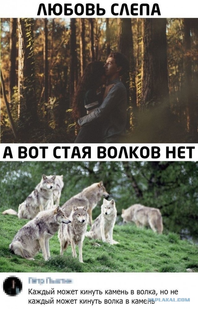 Немного картинок и прочей хреноты Vol. 11