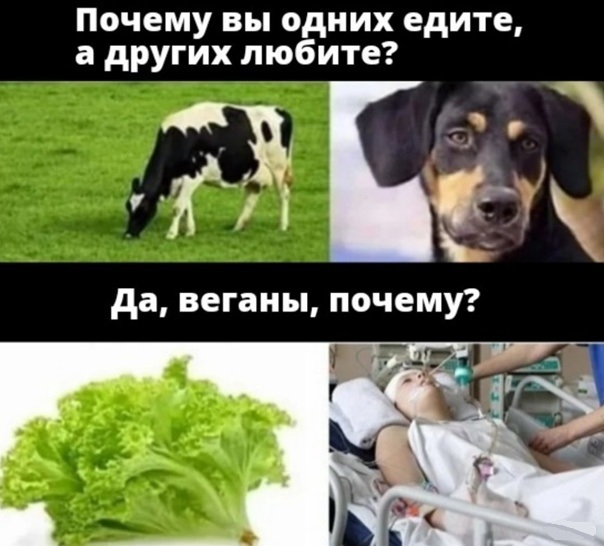 Воскресная чернуха!