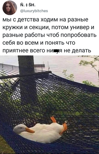 Картинки и мемы для настроения - 27
