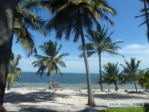 AFRICA - (Эфиопия,Кения,Танзация) 4-16 ноября 2011