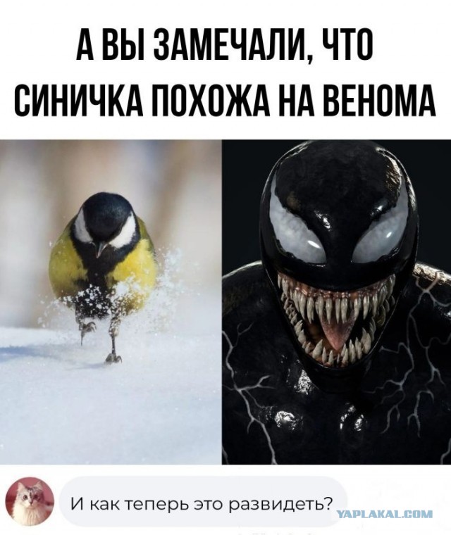 Про компьютерных мастеров и дедушку