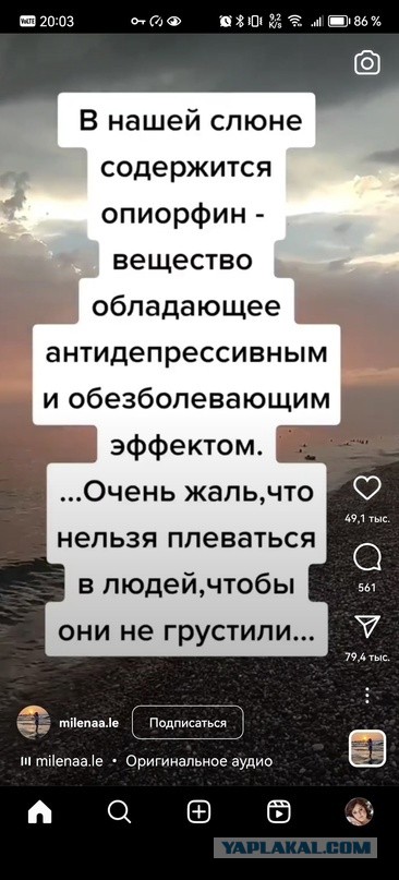 Феномен мужского пи*дабольства, его особенности и анализ его влияния на женщин