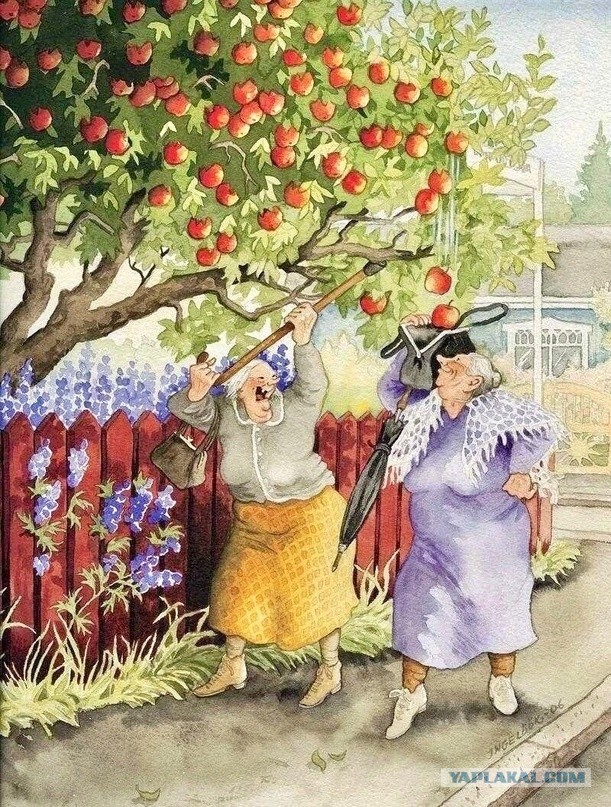 Женский коллектив Япа