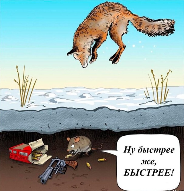 Так себе картинки 06.12.23
