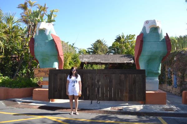 Хочу дачу на канарах!