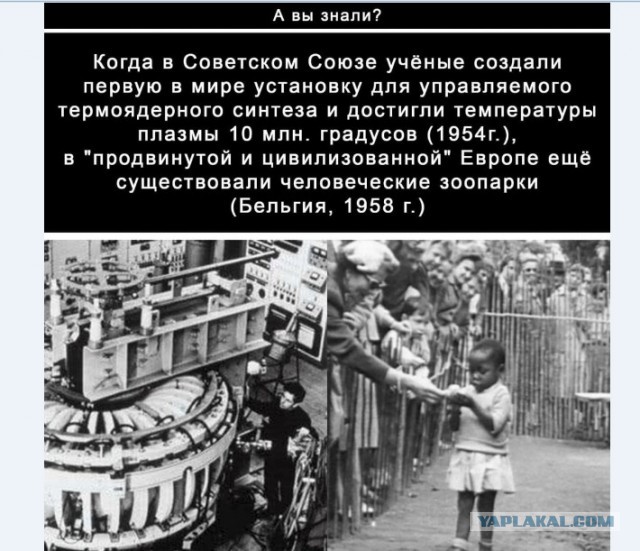 Илон Маск сделал прогноз о конце человечества