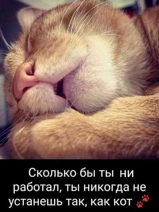Баяны: август 2023 г - декабрь 2023 г